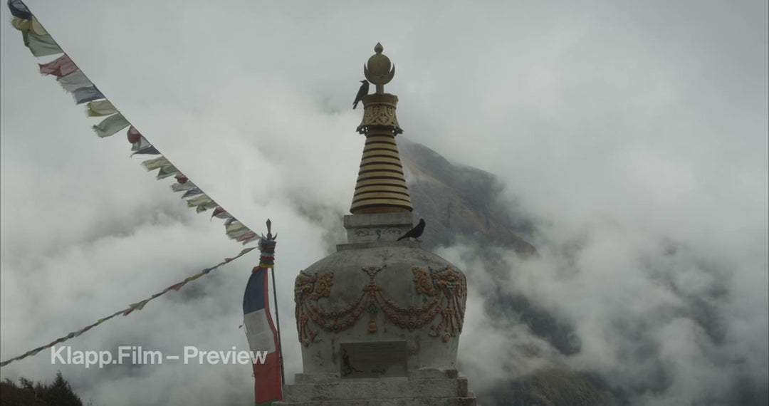 KF-EBC-0319 stock footage thumbnail
