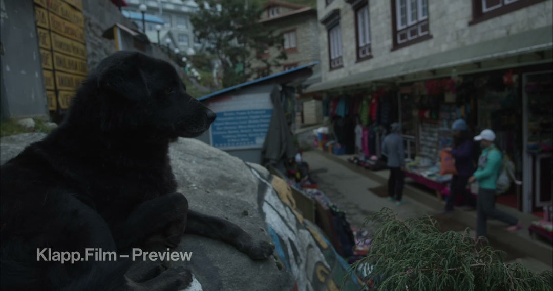 KF-EBC-0324 stock footage thumbnail