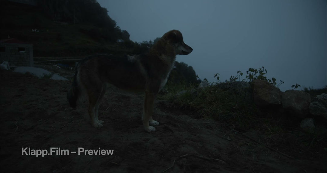KF-EBC-0330 stock footage thumbnail