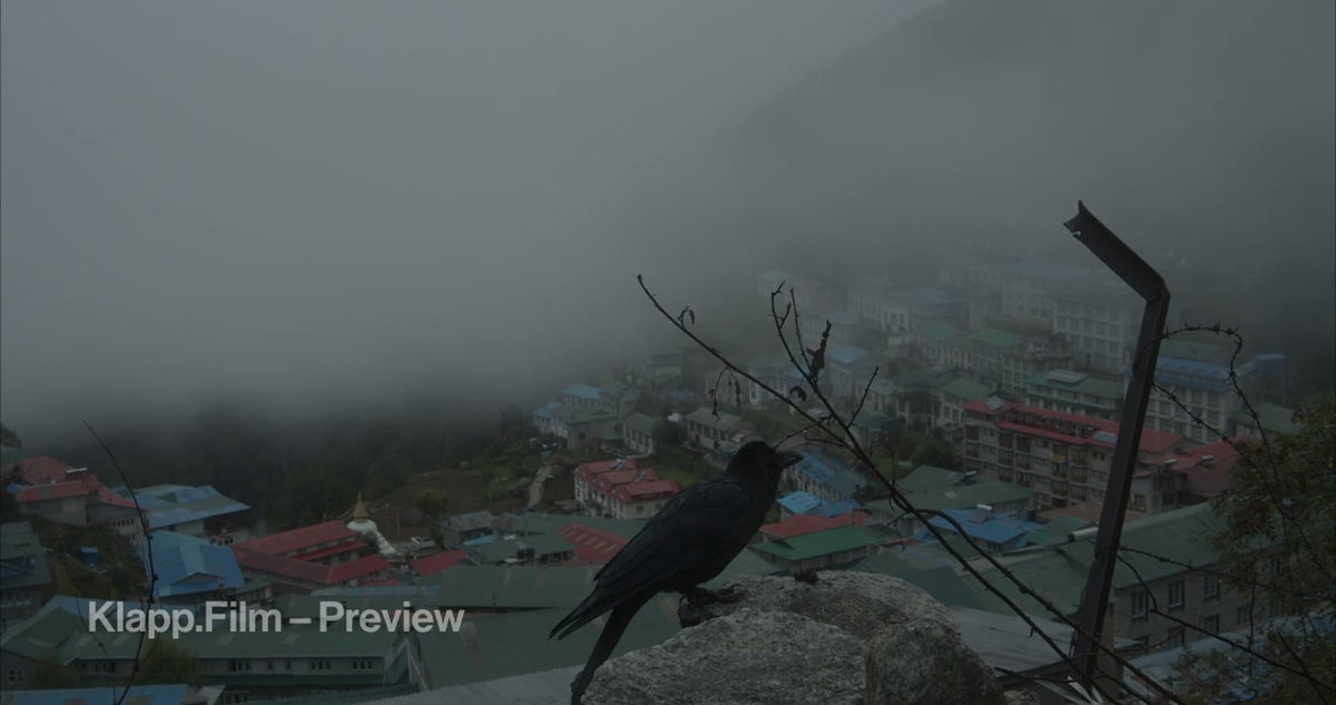 KF-EBC-0341 stock footage thumbnail
