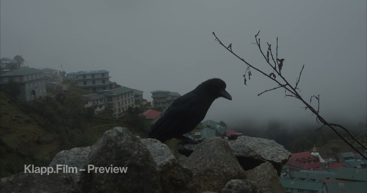 KF-EBC-0342 stock footage thumbnail
