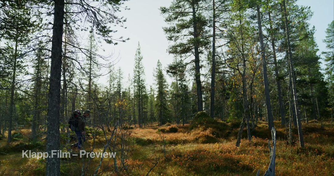 KF-HDS-0049 stock footage thumbnail