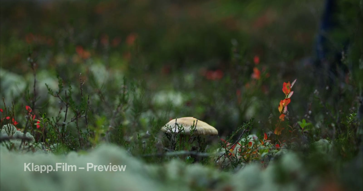 KF-HDS-0052 stock footage thumbnail