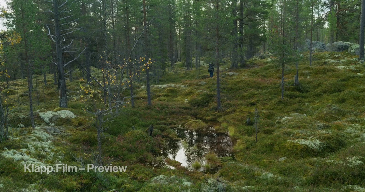 KF-HDS-0053 stock footage thumbnail