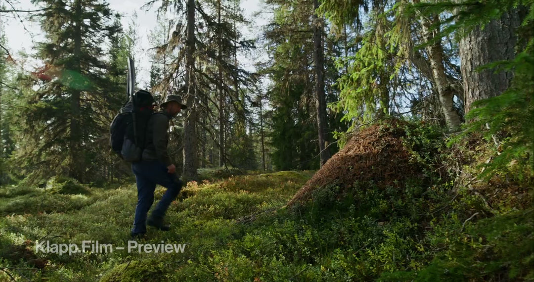 KF-HDS-0054 stock footage thumbnail