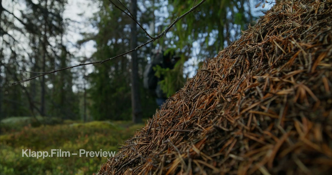 KF-HDS-0055 stock footage thumbnail