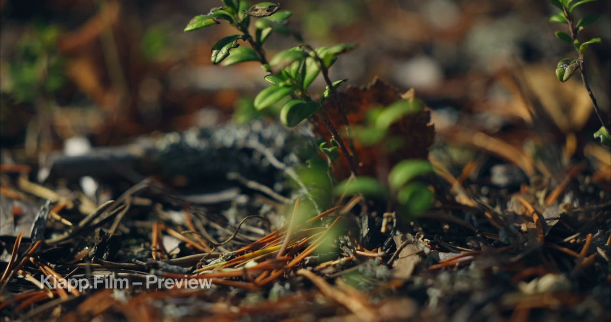 KF-HDS-0060 stock footage thumbnail