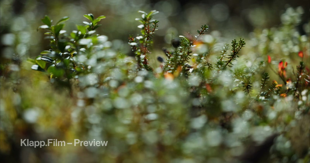 KF-HDS-0095 stock footage thumbnail