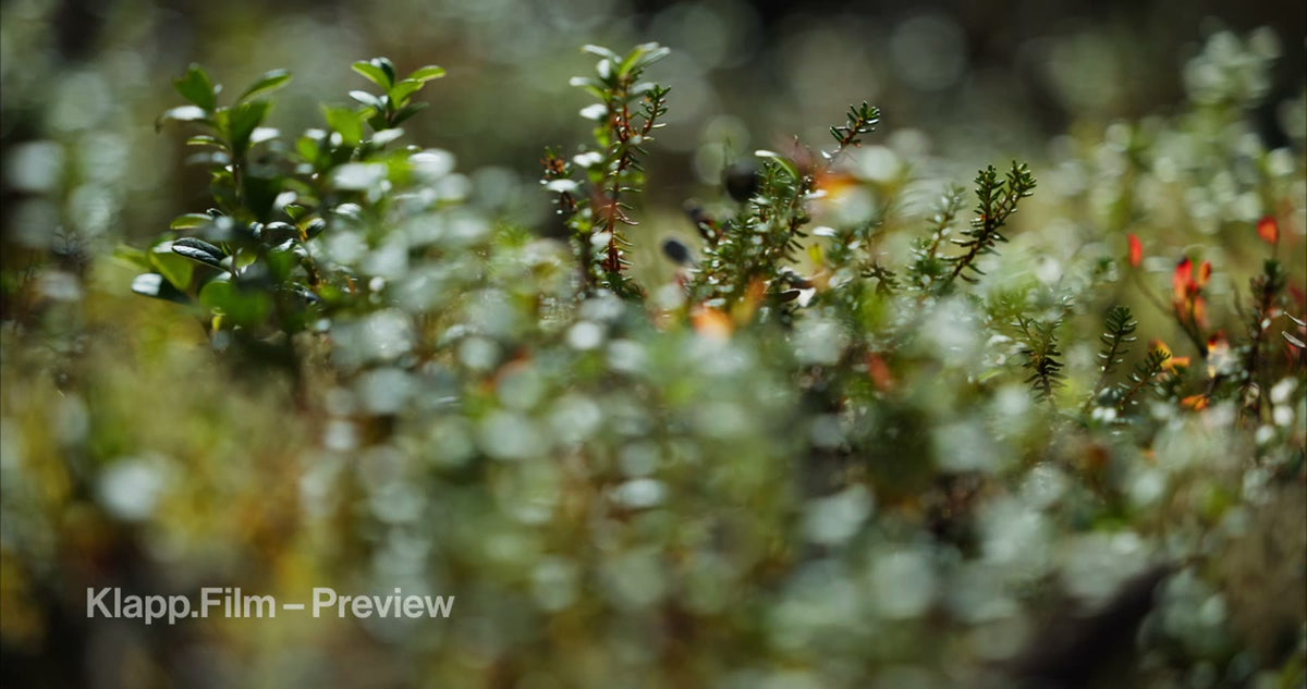 KF-HDS-0095 stock footage thumbnail