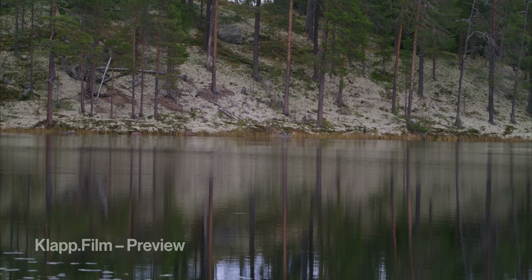 KF-HDS-0100 stock footage thumbnail