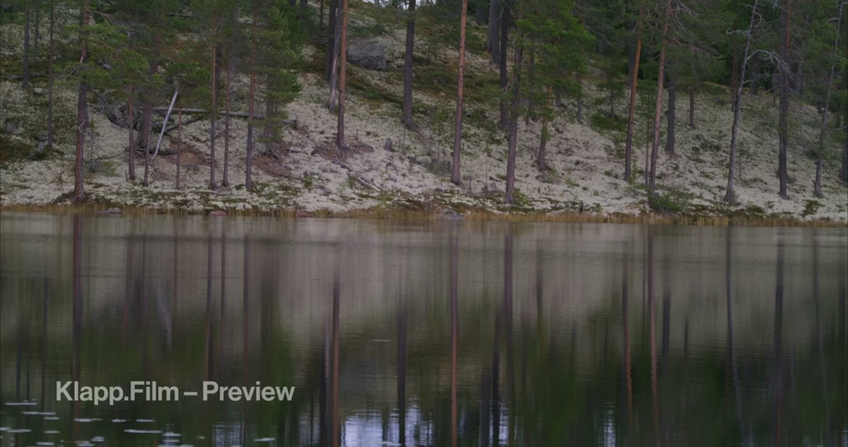 KF-HDS-0100 stock footage thumbnail