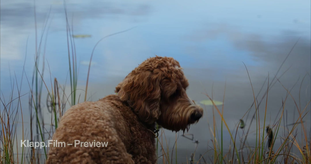 KF-HDS-0105 stock footage thumbnail