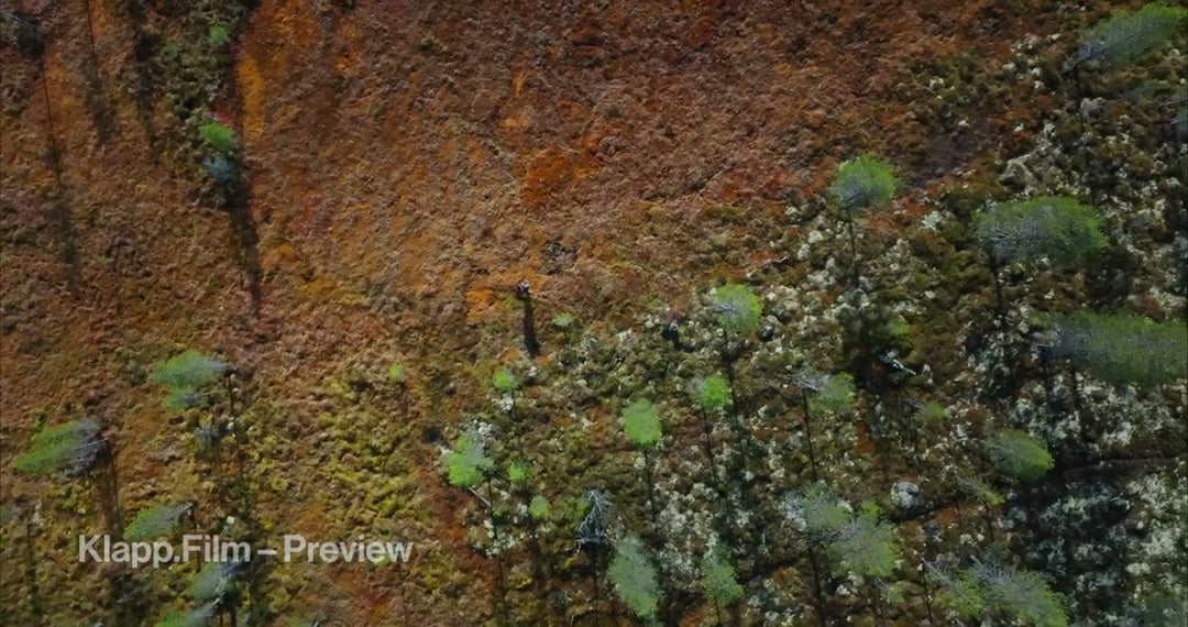KF-HDS-0110 stock footage thumbnail
