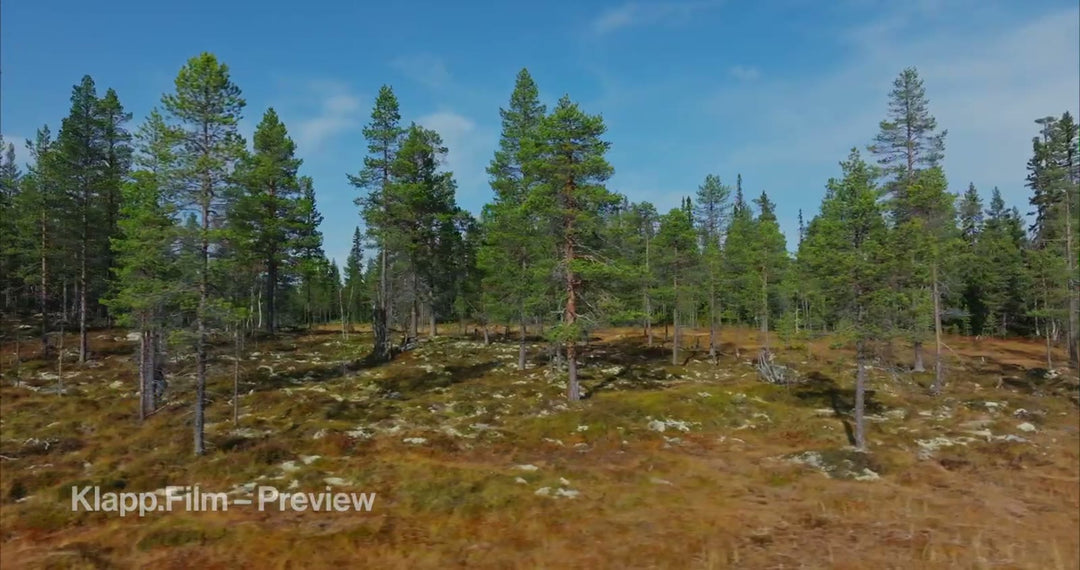 KF-HDS-0111 stock footage thumbnail