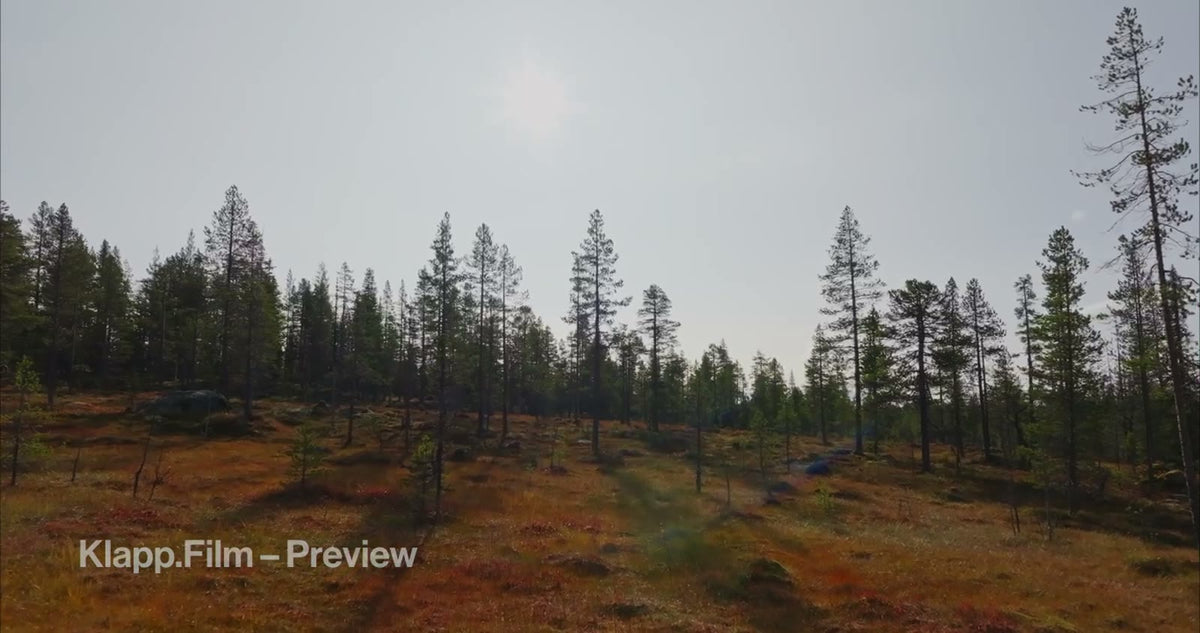 KF-HDS-0112 stock footage thumbnail