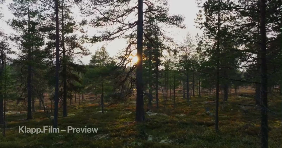 KF-HDS-0113 stock footage thumbnail