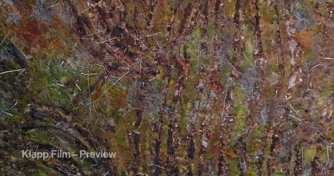 KF-HDS-0116 stock footage thumbnail