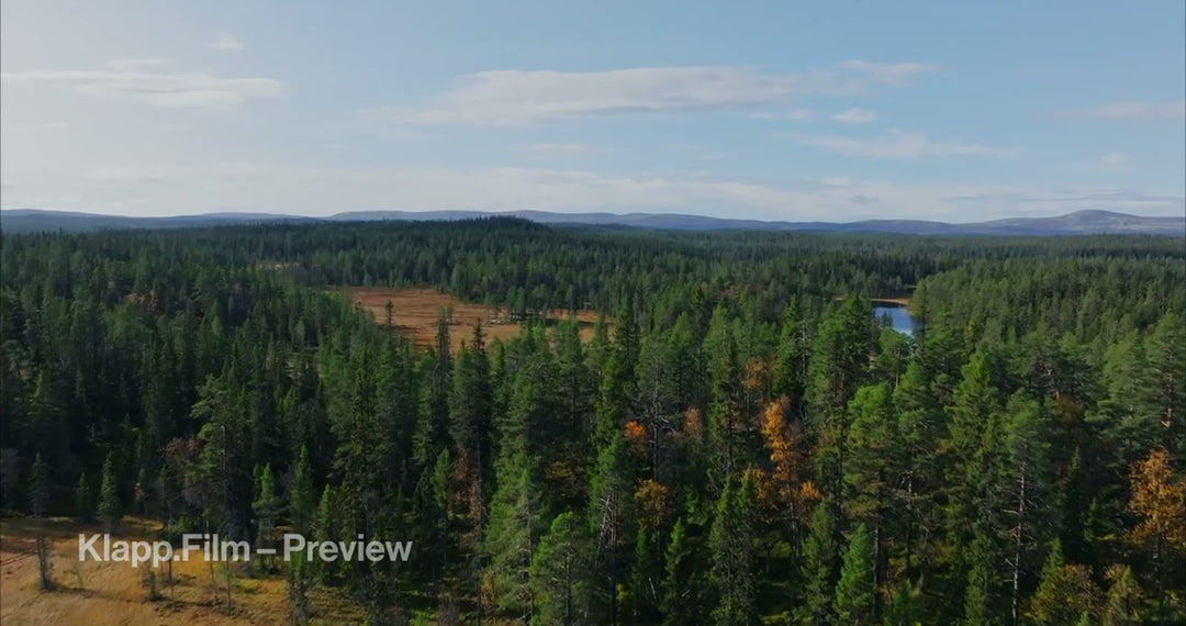 KF-HDS-0117 stock footage thumbnail