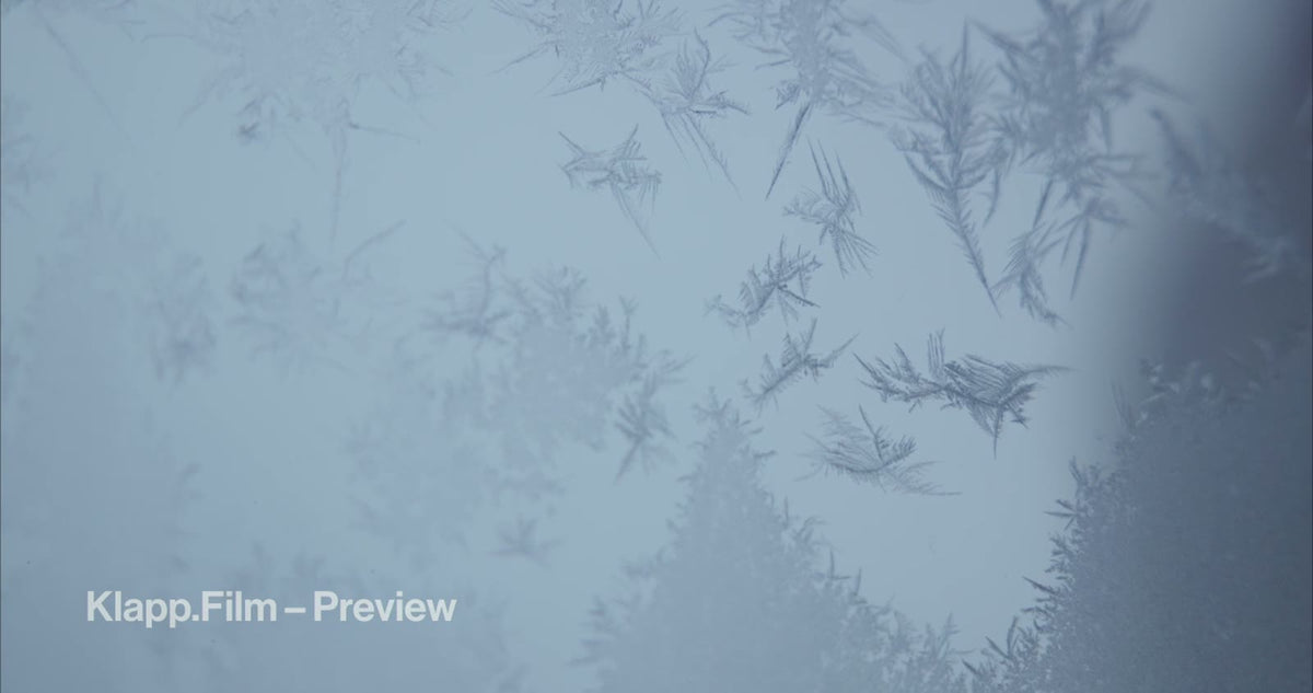 KF-ICH-0047 stock footage thumbnail
