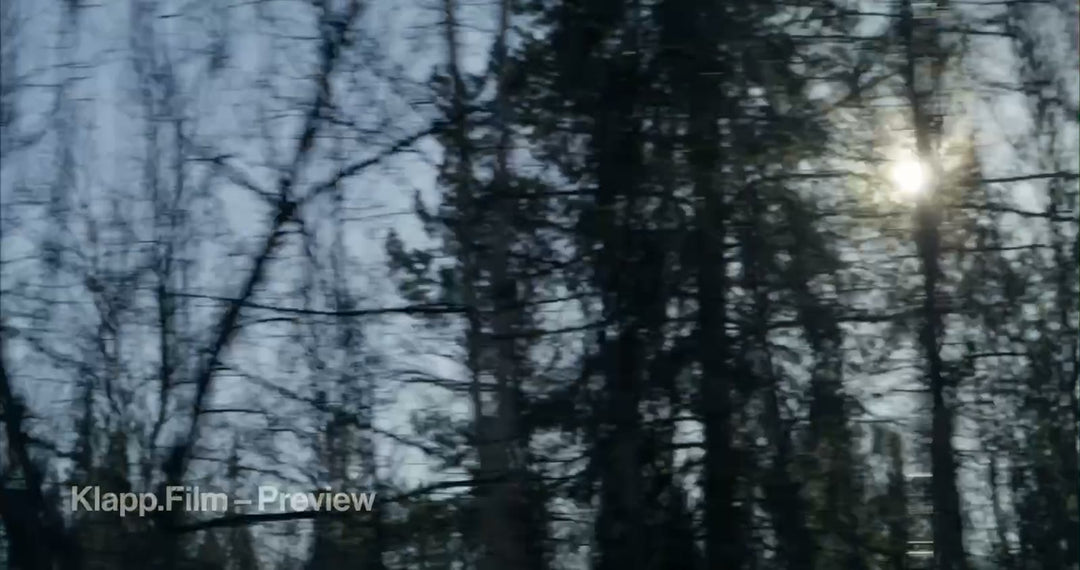 KF-ICH-0092 stock footage thumbnail