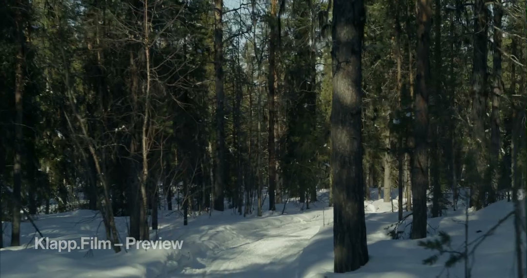 KF-ICH-0093 stock footage thumbnail