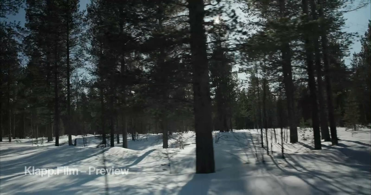 KF-ICH-0105 stock footage thumbnail