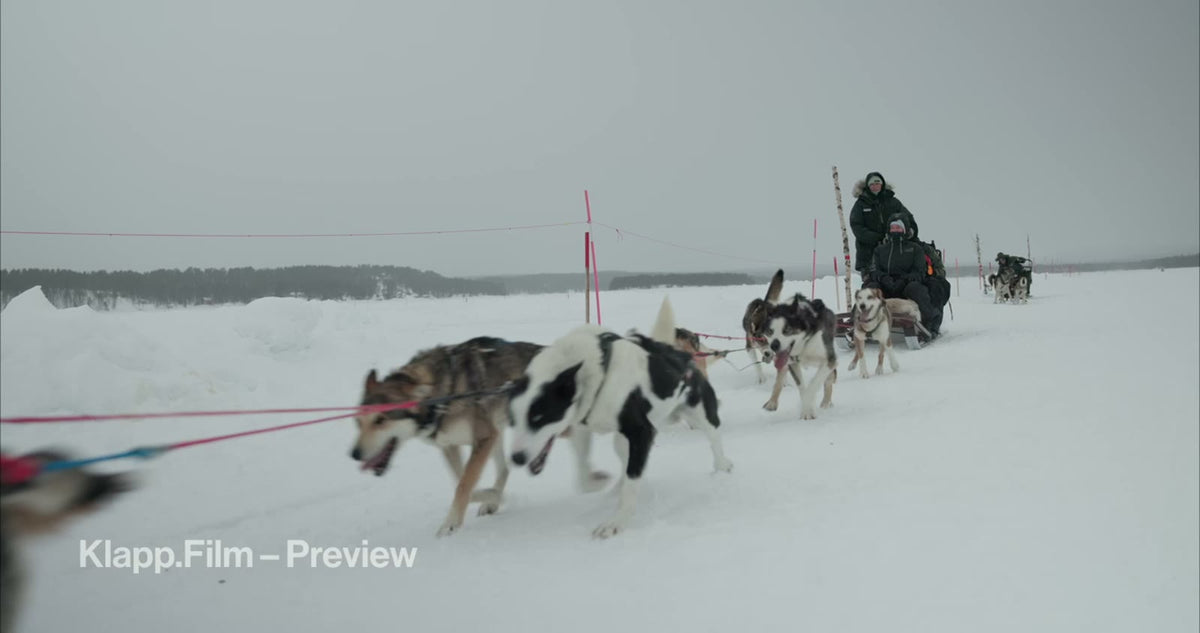 KF-ICH-0121 stock footage thumbnail