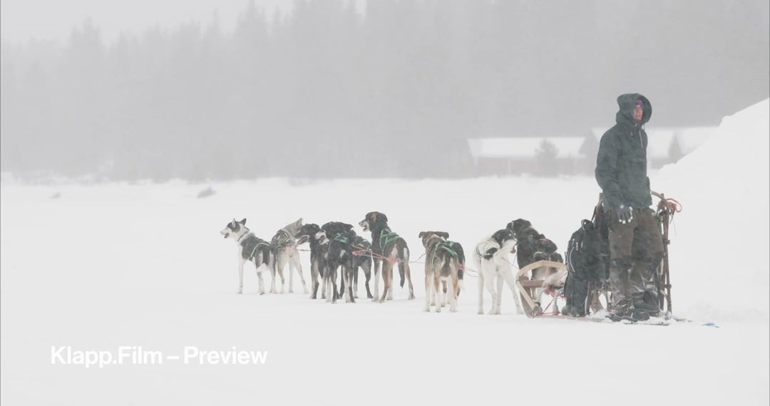 KF-ICH-0124 stock footage thumbnail