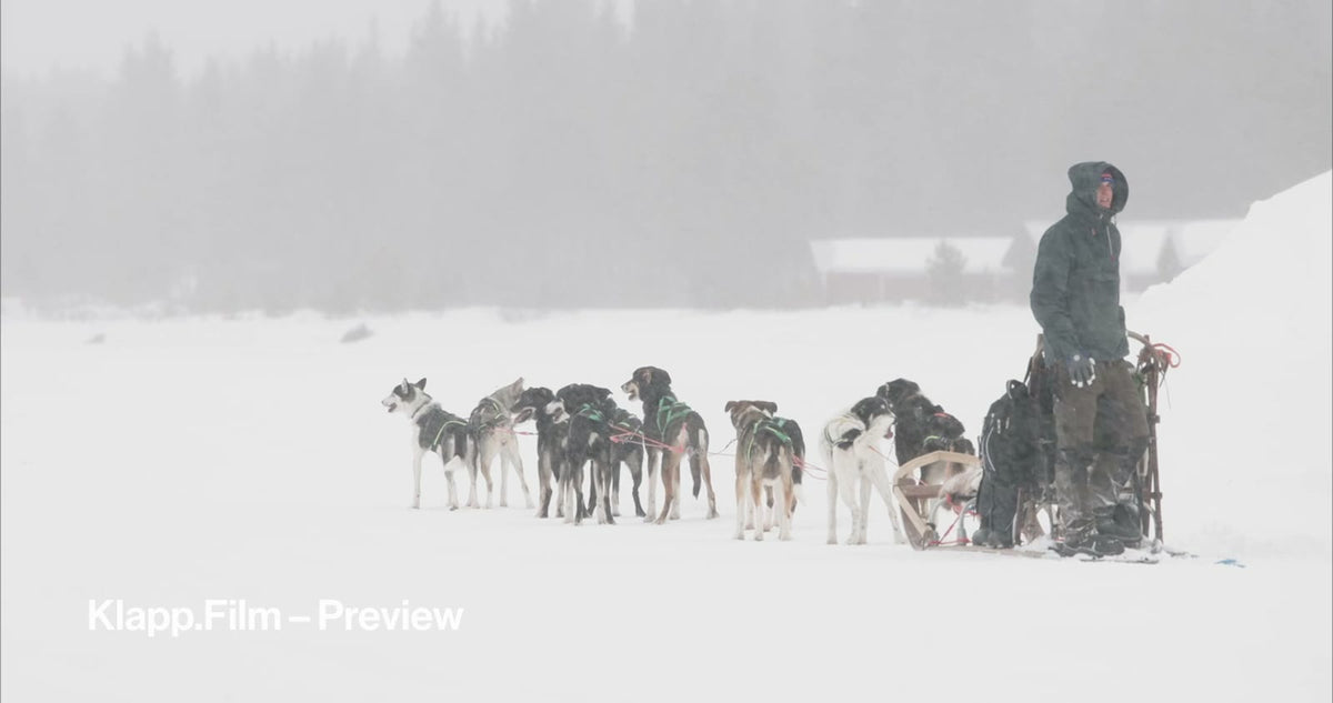 KF-ICH-0124 stock footage thumbnail