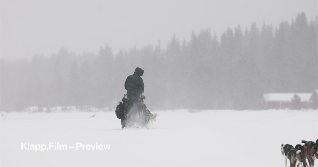 KF-ICH-0125 stock footage thumbnail