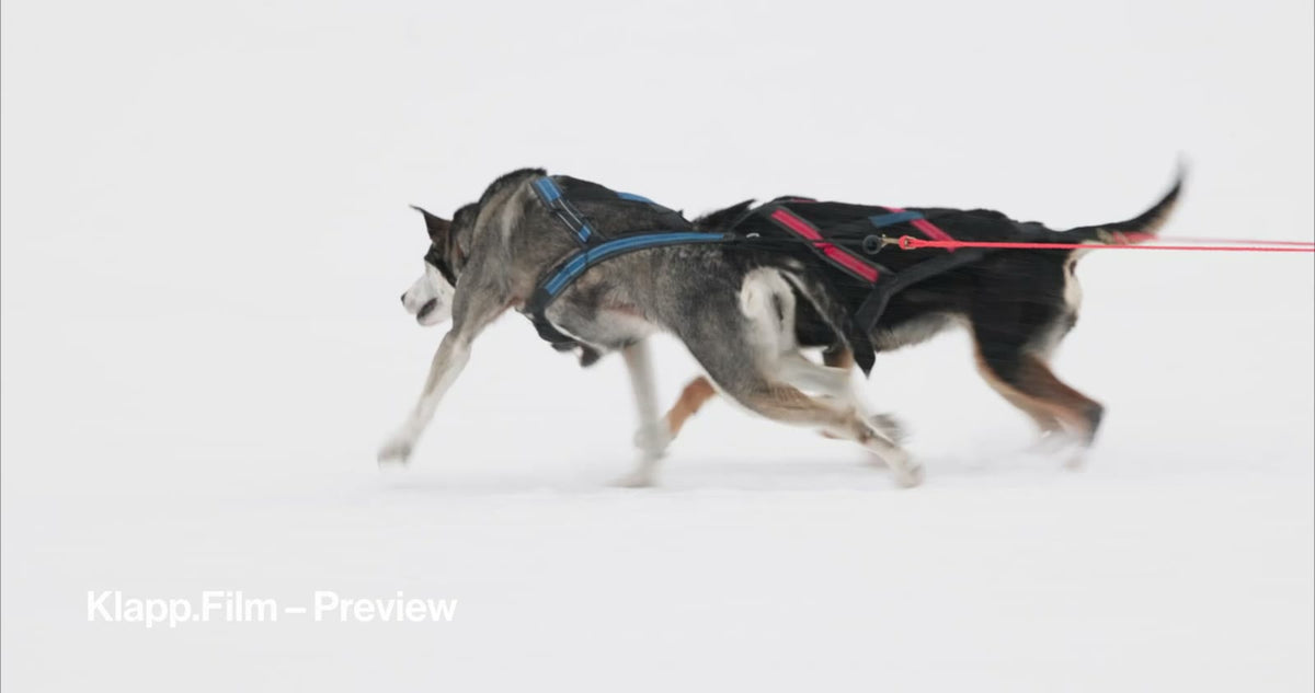 KF-ICH-0126 stock footage thumbnail