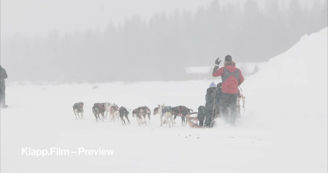 KF-ICH-0127 stock footage thumbnail