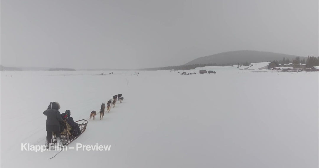 KF-ICH-0129 stock footage thumbnail