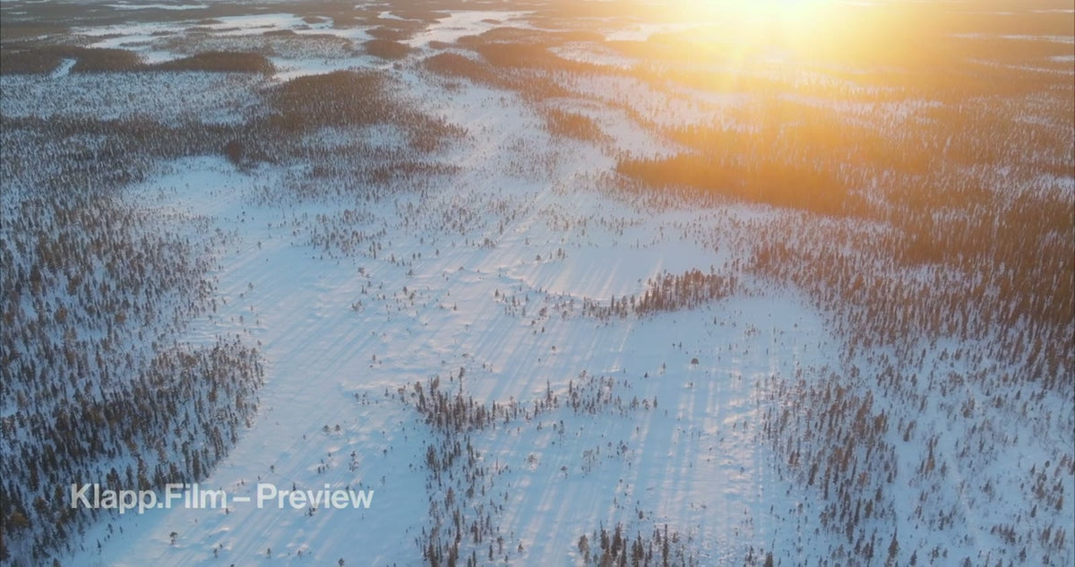 KF-ICH-0134 stock footage thumbnail