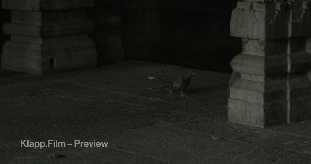 KF-INC-0022 stock footage thumbnail
