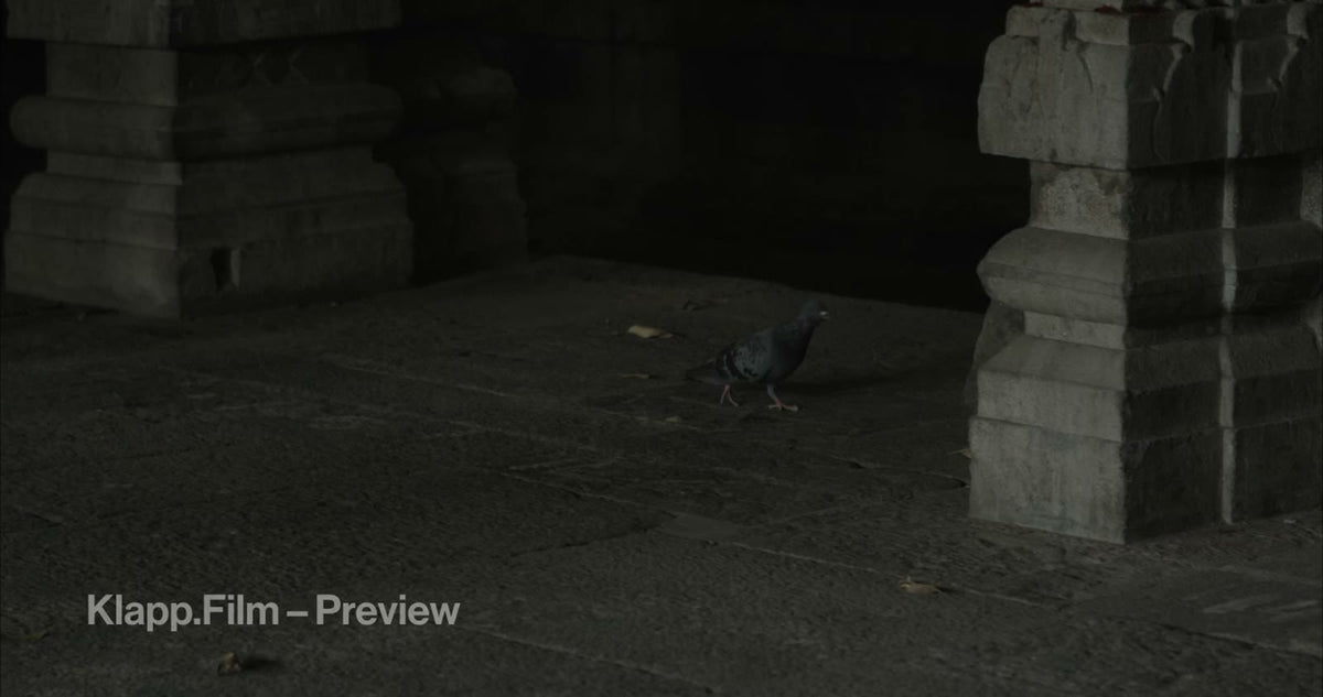 KF-INC-0022 stock footage thumbnail