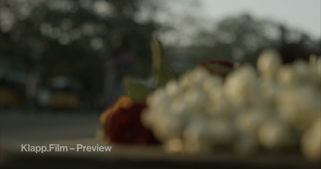KF-INC-0048 stock footage thumbnail