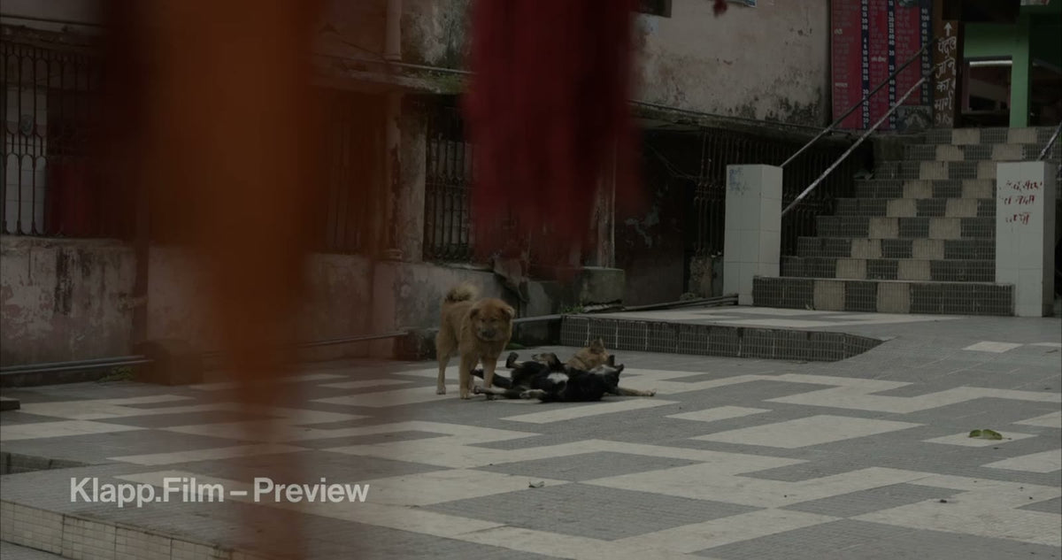 KF-IRK-0018 stock footage thumbnail