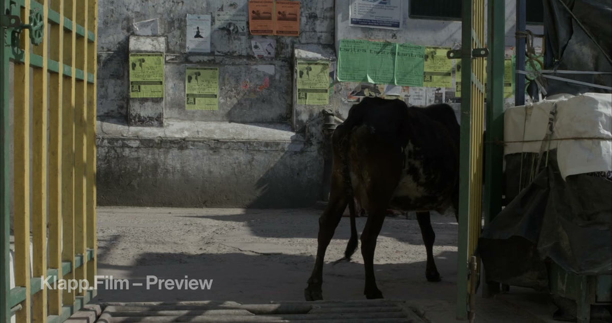 KF-IRK-0106 stock footage thumbnail