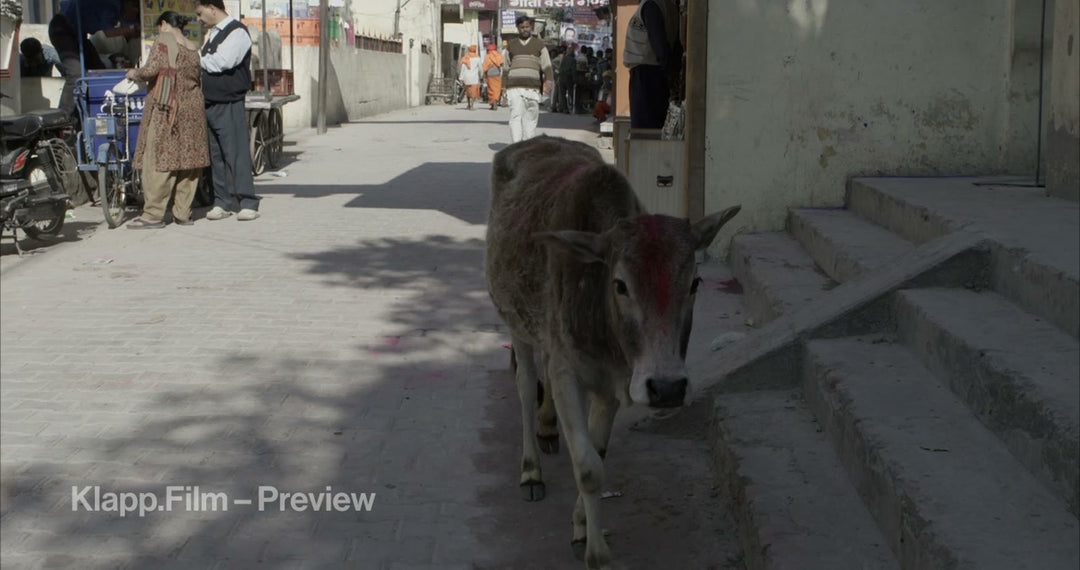 KF-IRK-0110 stock footage thumbnail