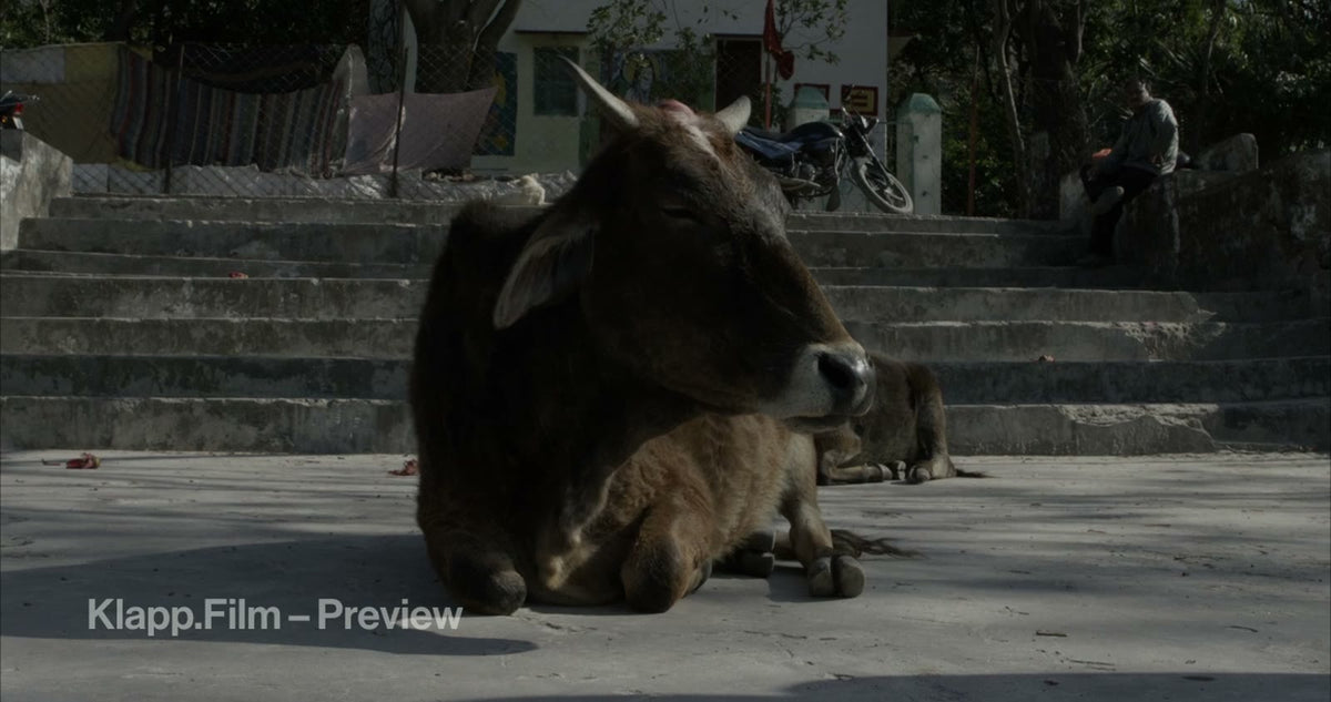KF-IRK-0115 stock footage thumbnail