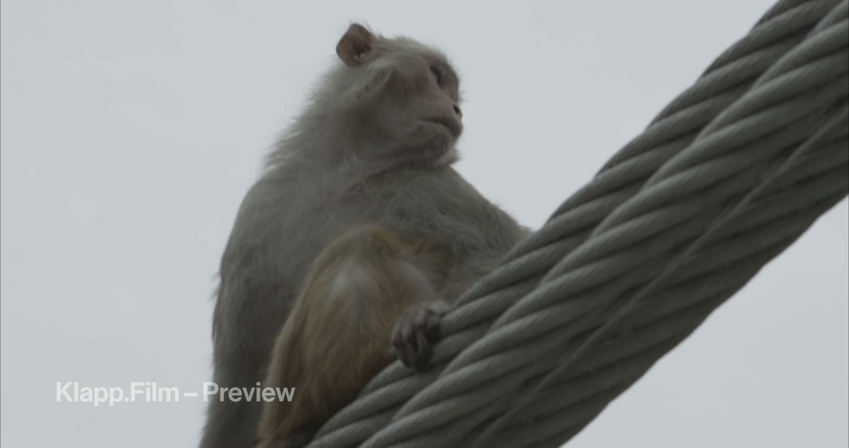KF-IRK-0157 stock footage thumbnail