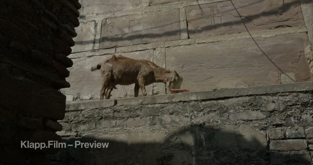 KF-IVA-0122 stock footage thumbnail