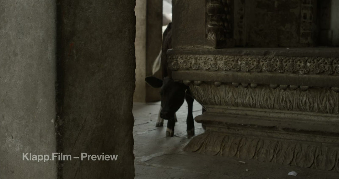 KF-IVA-0146 stock footage thumbnail