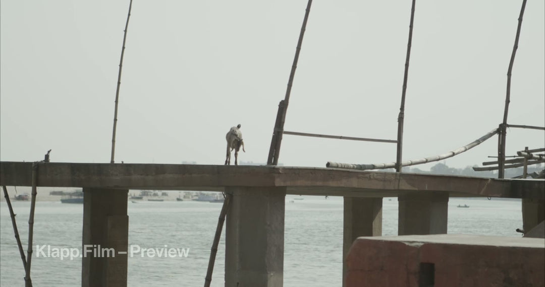 KF-IVA-0153 stock footage thumbnail