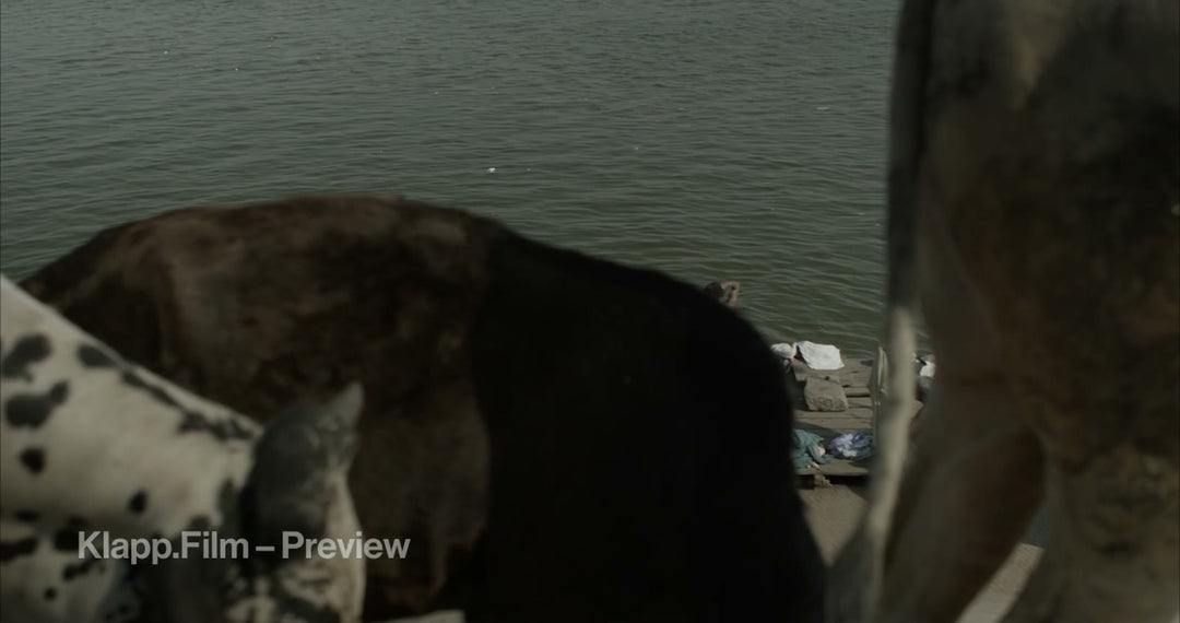 KF-IVA-0157 stock footage thumbnail