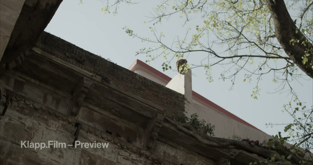 KF-IVA-0172 stock footage thumbnail