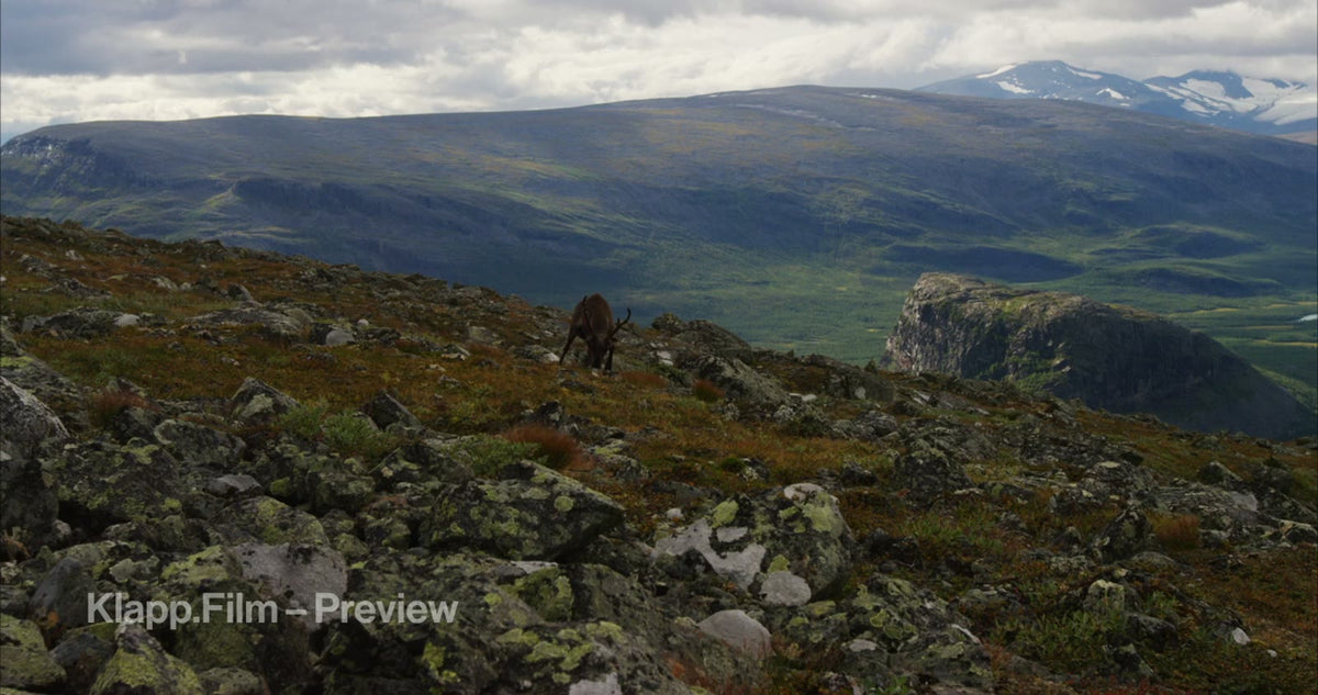 KF-MT1-0012 stock footage thumbnail