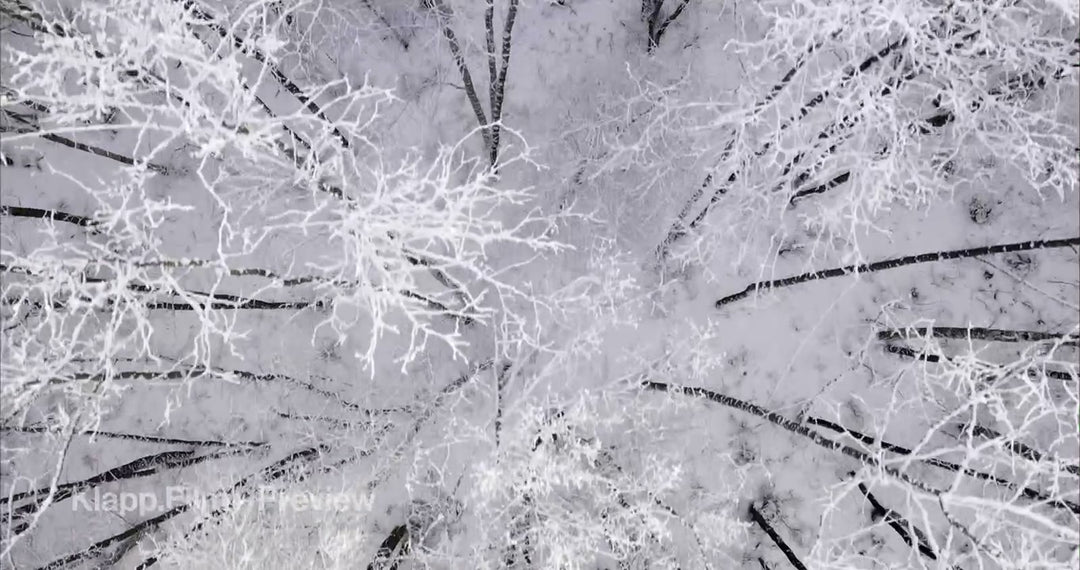 KF-MT1-0036 stock footage thumbnail