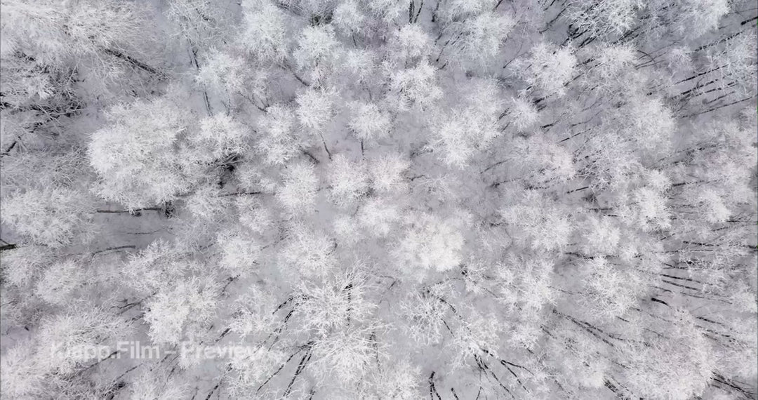 KF-MT1-0037 stock footage thumbnail